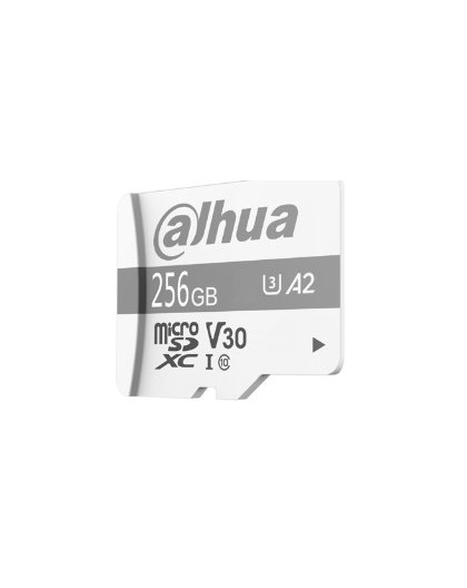 Dahua Technology P100 256 GB MicroSD UHS-I Class 10