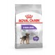 Royal Canin CCN MINI STERILISED - dry food for adult dogs - 8kg