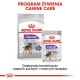 Royal Canin CCN MINI STERILISED - dry food for adult dogs - 8kg