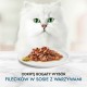Purina GRMT PERLE GIGMV BEEF CRT cats moist food 85 g