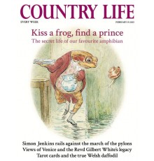 Women's approach shoes Black Diamond LT 2 - dark p