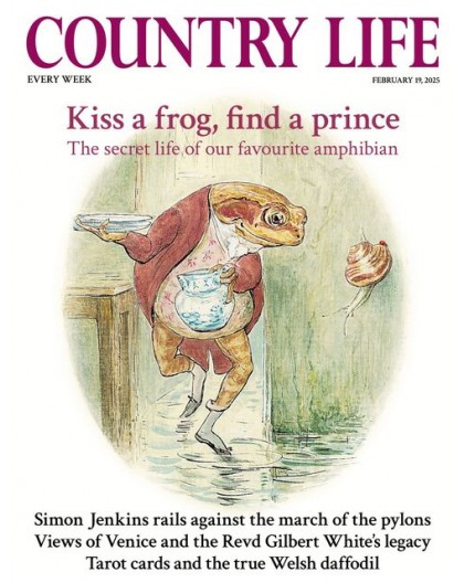 Women's approach shoes Black Diamond LT 2 - dark p