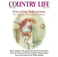 Women's approach shoes Black Diamond LT 2 - dark p