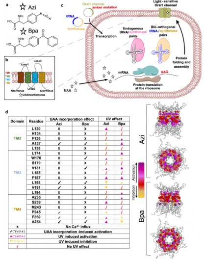 Table Microphone Stand