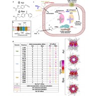 Table Microphone Stand