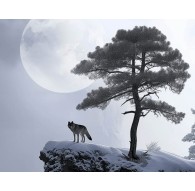 Buff Cap with Visor 5 Panel Go Cap