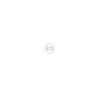 Trail shoes Dachstein Delta Ascent GTX - black