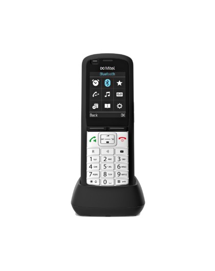 Unify OpenScape DECT Phone R6