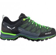 Women's Shoes Salewa Mountain Trainer Lite GTX