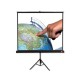 Avtek TRIPOD Pro 180 projection screen 1:1