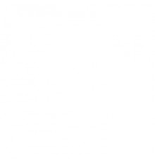 Urban backpack The North Face Borealis Conv.