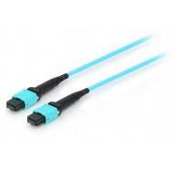 Equip MTP/MTP Trunk Fiber Optic Patch Cable, OM4, 5m