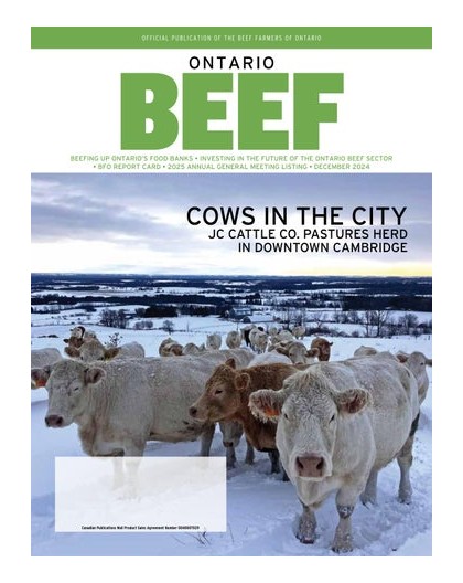 Transport bag Climbing Tech Carrier, 22 L, orange