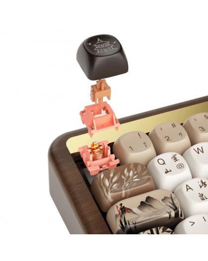 AKKO MU01 Joy of Life Keyboard RGB Walnut Case