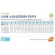 FARMINA N&D DOG PUMPKIN LAMB & BLUEBERRY PUPPY MINI 100gr