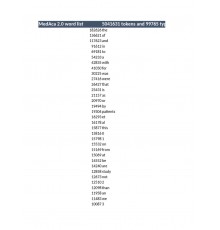 Storm safety shoes S1P SRA size 42