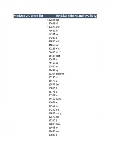 Storm safety shoes S1P SRA size 42