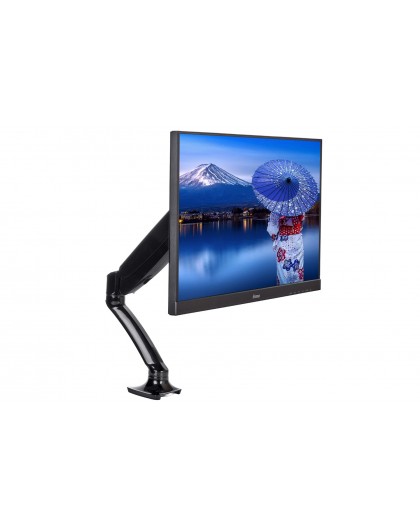 iiyama Sleek and stylish single gas spring monitor arm