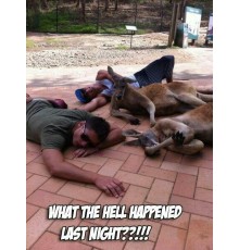 Women's shoes The North Face Back-To-Berkeley IV