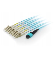 Equip MTP/MTP Trunk Fiber Optic Patch Cable, OM4, 3m