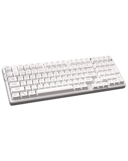 VGN V98 Gaming Keyboard, Numbani Switch - white (US)