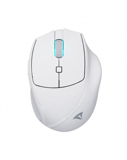 Sharkoon OfficePal M25W mouse Gaming Right-hand RF Wireless + USB Type-C Optical 4000 DPI
