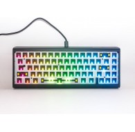 Ducky Tinker 65 Barebone keyboard Gaming USB German Black