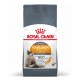 ROYAL CANIN Hair&Skin Care Adult - kuiv toit kassidele - 400g