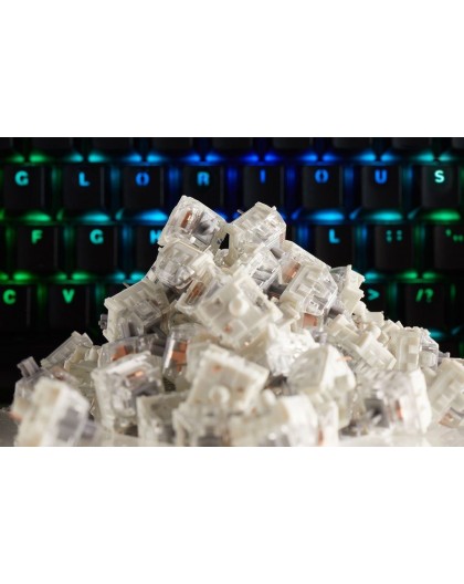 Glorious PC Gaming Race KAI-SILVER input device accessory Keyboard switches