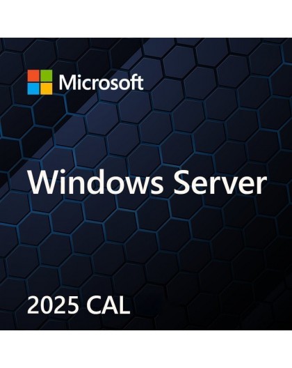 MS Windows Svr CAL 2025 PL 5Clt Device CAL OEM