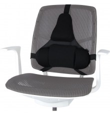 Fellowes Ergonomics professional back support pillow