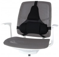 Fellowes Ergonomics professional back support pillow