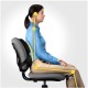 Fellowes Ergonomics professional back support pillow