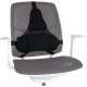 Fellowes Ergonomics professional back support pillow
