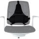 Fellowes Ergonomics professional back support pillow