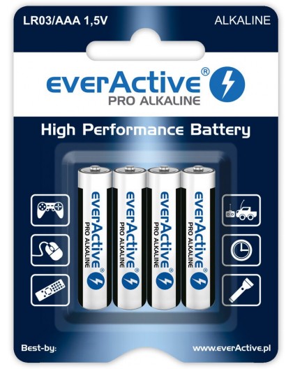 Alkaline batteries everActive Pro Alkaline LR6 AA - blister card - 4 pieces