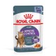 ROYAL CANIN FCN Appetite Control jelly - wet food for adult cats - 12x85g