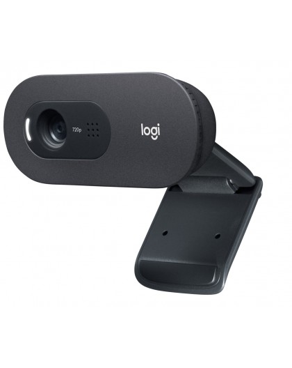 Logitech C505 HD Webcam