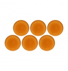 ROSE&TULIPANI Arpeggio set 6 dinner plates 25 cm