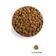 ACANA Dog Puppy Large Breed - dry dog food - 17kg