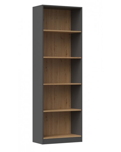 Topeshop R60 ANT/ART office bookcase