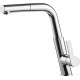 Kitchen faucet with pull-out spout