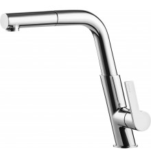 Kitchen faucet with pull-out spout