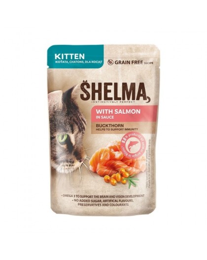 SHELMA Kitten with salmon in sauce - wet cat food - 85g