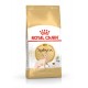 Royal Canin Sphynx dry cat food 2 kg