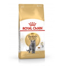 Royal Canin British Shorthair Adult cats dry food 4 kg
