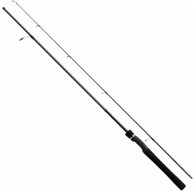 Shimano Lurematic Bass spinning rod