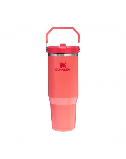 Stanley Mug IceFlow Flip Straw 0.89L Hot Coral