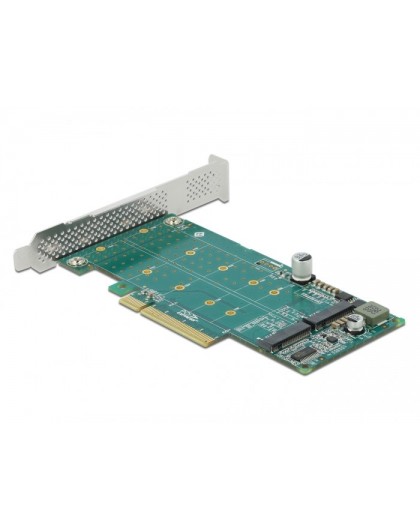 Delock PCIe x8 to 2 x NVMe M.2 Key M Card