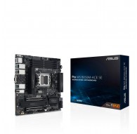 Asus PRO WS B850M-ACE SE AM5 AMD motherboard